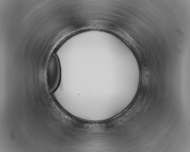 X0000113120896200909251110