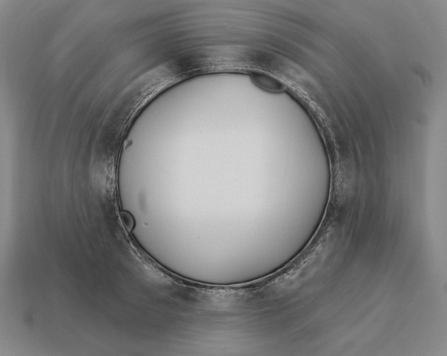 X0000113120897200909251110
