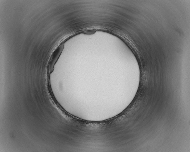 X0000113120898200909251110