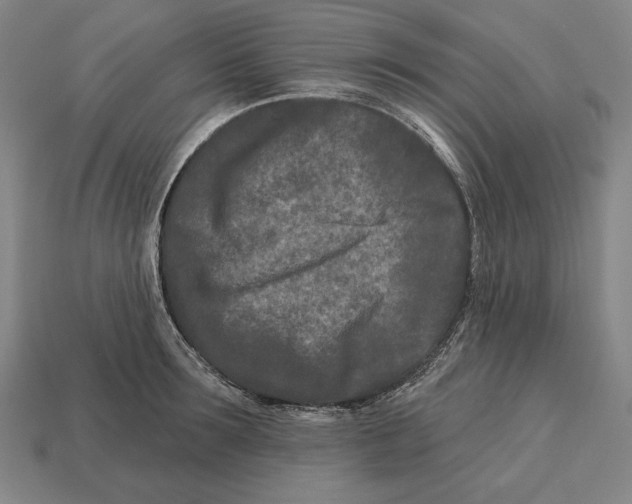 X0000113120899200909251110