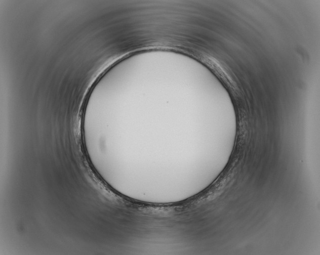 X0000113120900200909251110