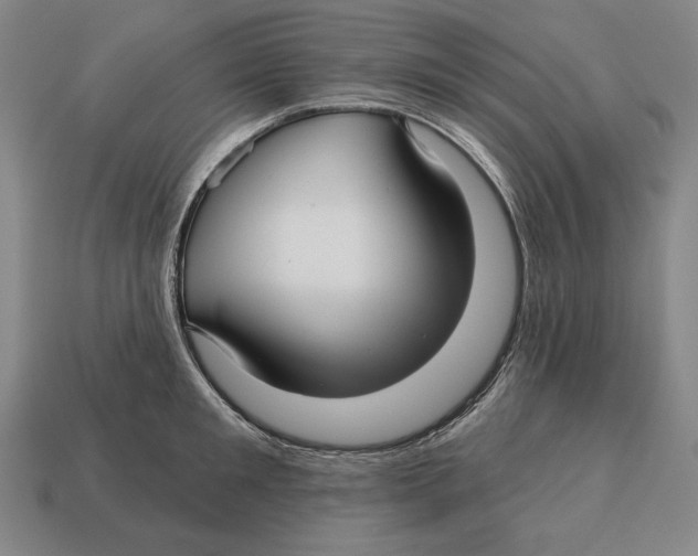 X0000113120901200909251110