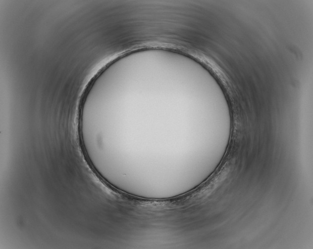 X0000113120902200909251110