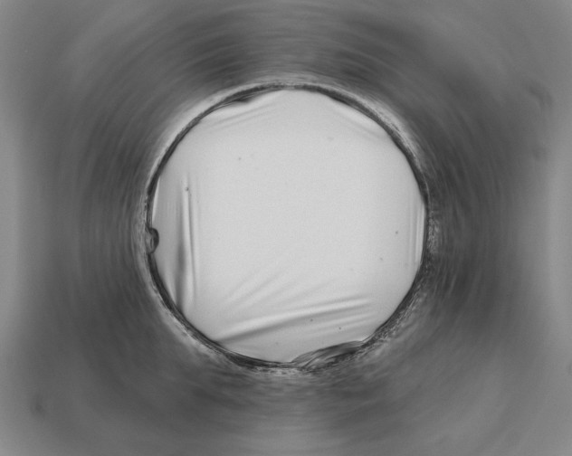 X0000113120903200909251110