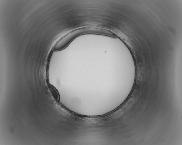 X0000113120904200909251110