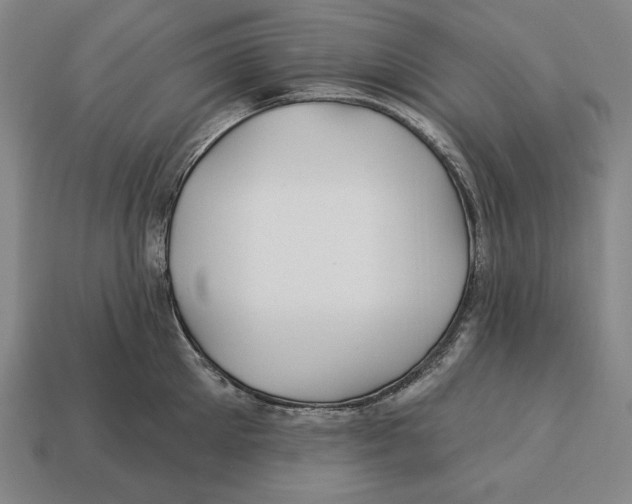 X0000113120905200909251110