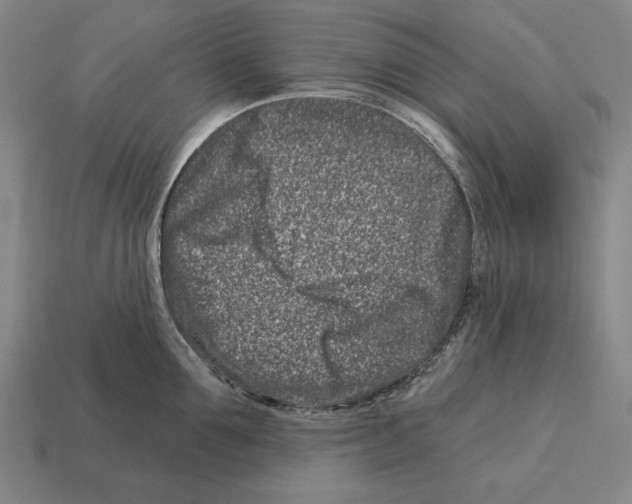X0000113120907200909251110
