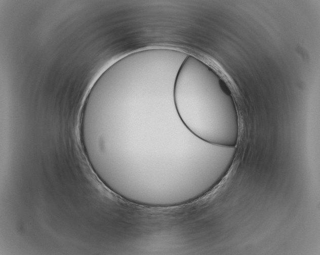 X0000113120908200909251110