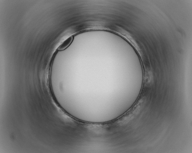 X0000113120909200909251110