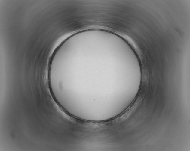 X0000113120910200909251110