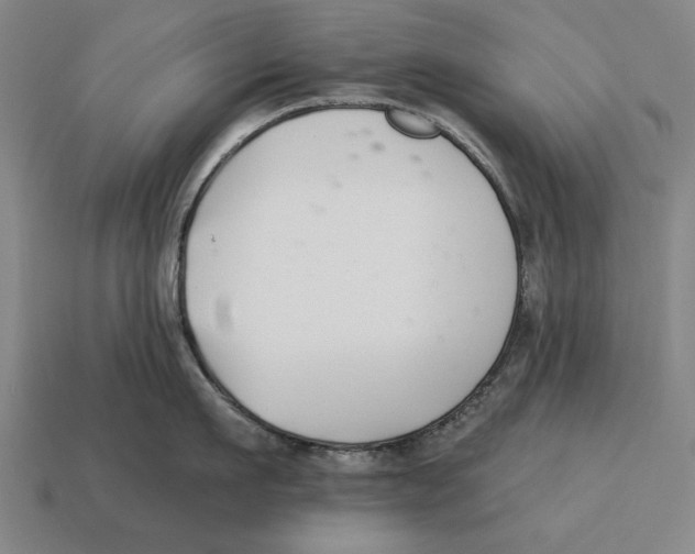 X0000113120911200909251110