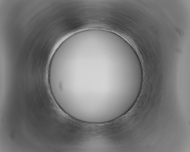 X0000113120912200909251110