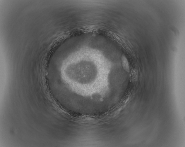 X0000113120913200909251109