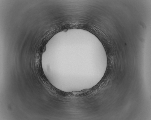 X0000113120914200909251109