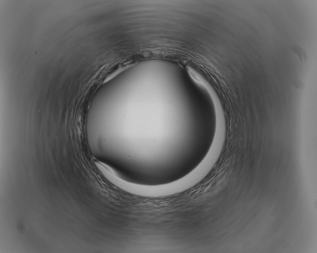 X0000113120915200909251109