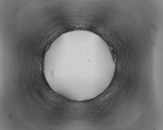 X0000113120916200909251110