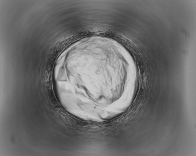 X0000113120917200909251110