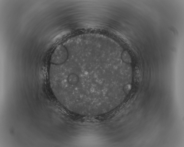 X0000113120918200909251110