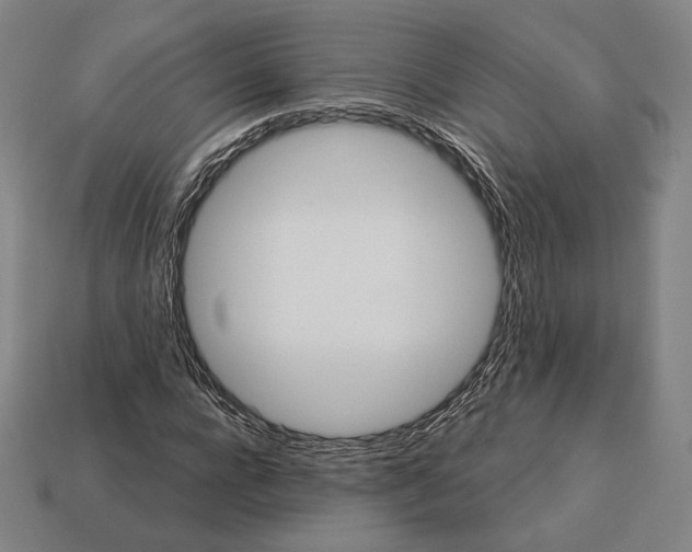 X0000113120920200909251110