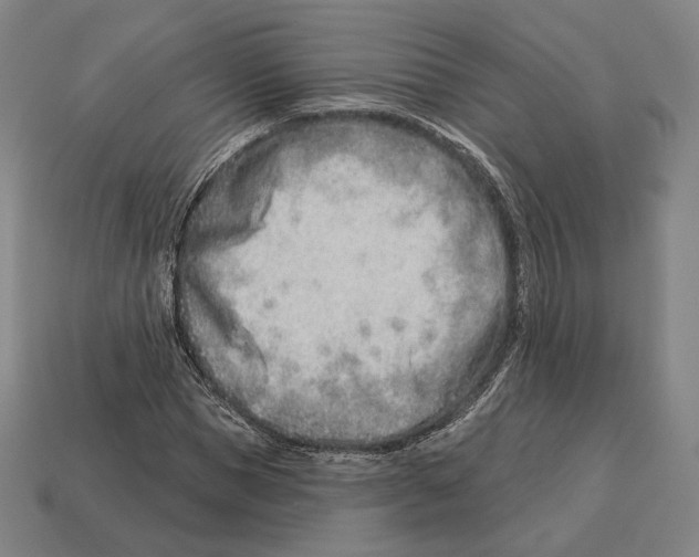 X0000113120921200909251110