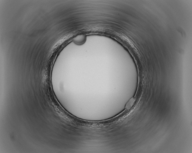 X0000113120922200909251110