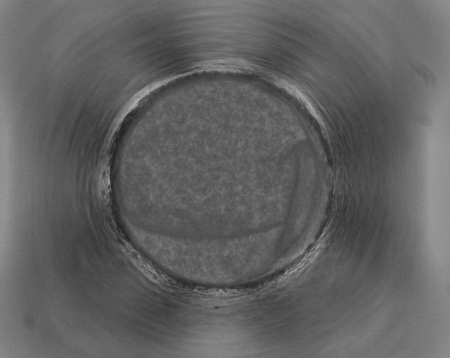 X0000113120923200909251110