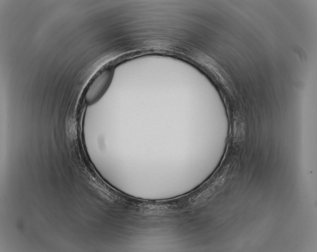 X0000113120924200909251110