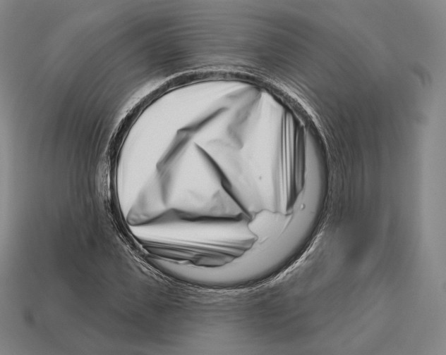 X0000113120925200909251110