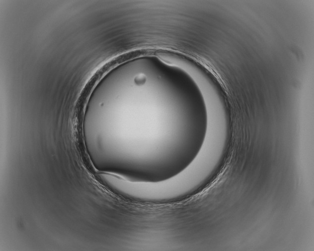 X0000113120926200909251110