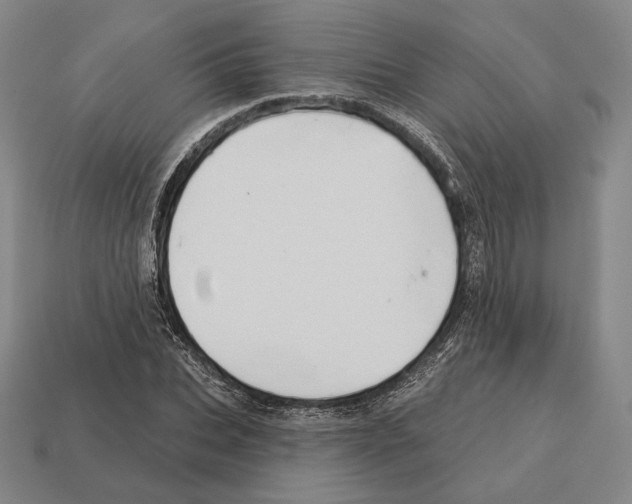 X0000113120927200909251110