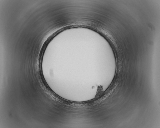 X0000113120928200909251110