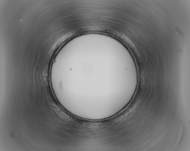 X0000113120930200909251110