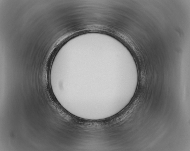 X0000113120931200909251110