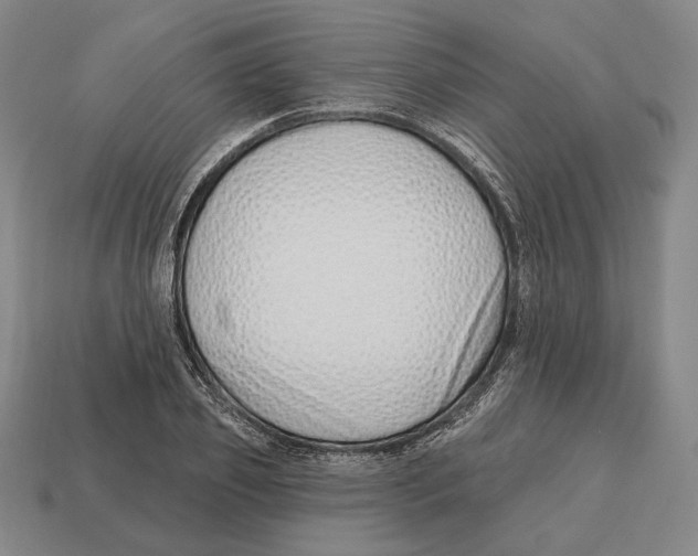 X0000113120933200909251110