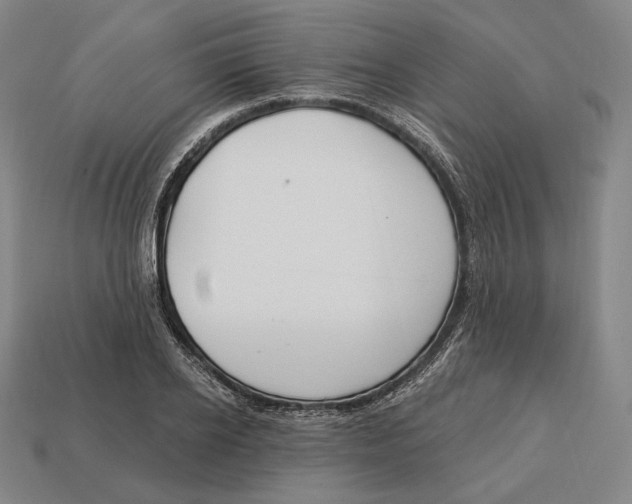 X0000113120934200909251110