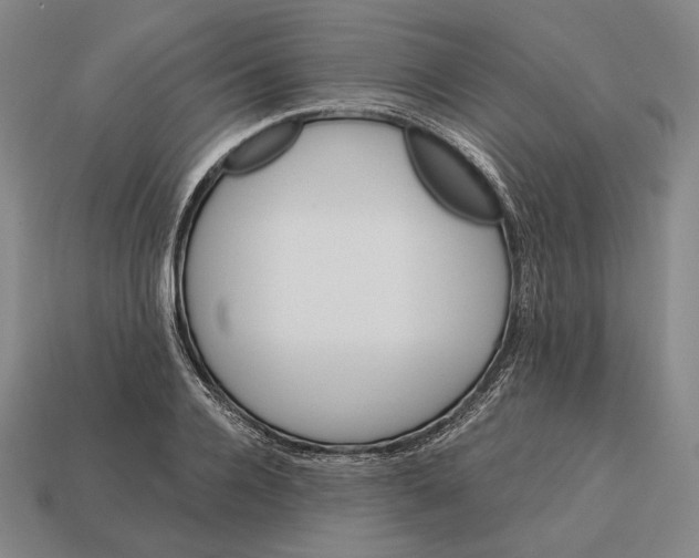 X0000113120936200909251110