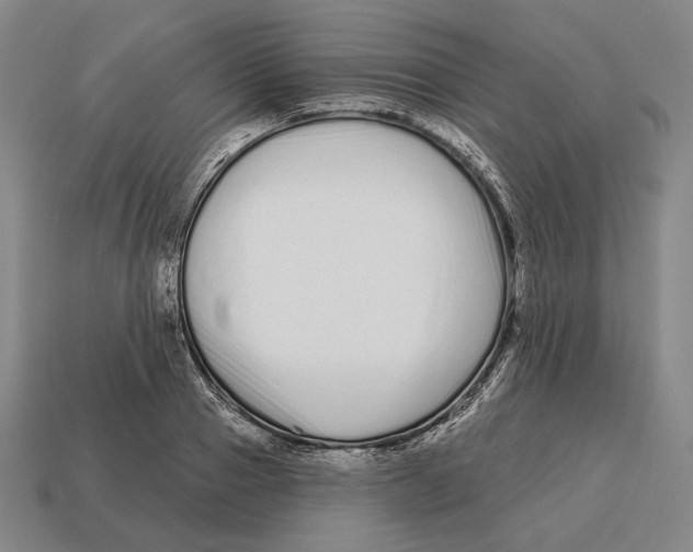 X0000113120937200909251110
