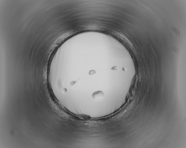 X0000113120938200909251110