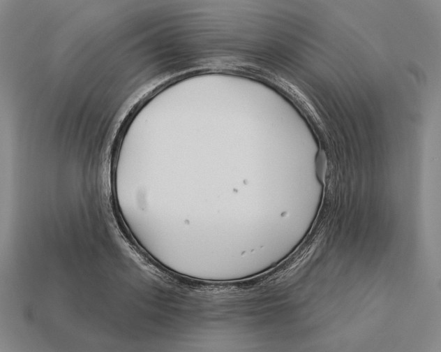 X0000113120939200909251110