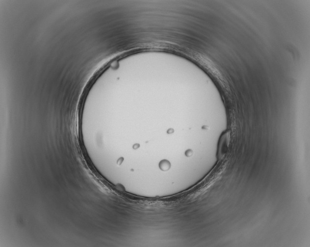 X0000113120940200909251110