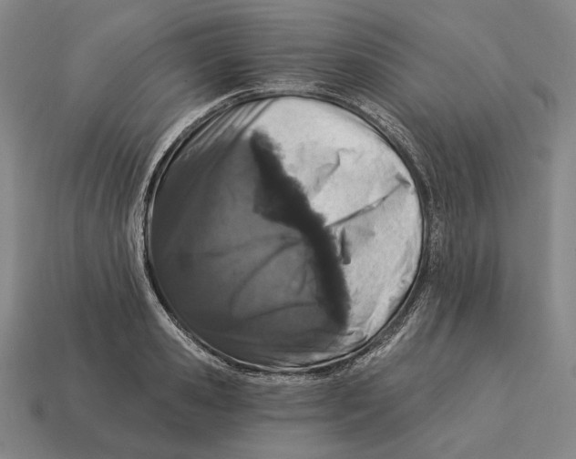 X0000113120941200909251110