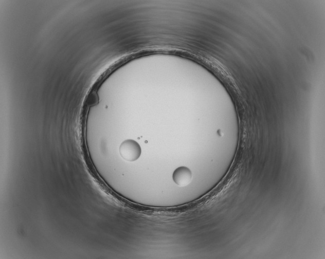 X0000113120942200909251110