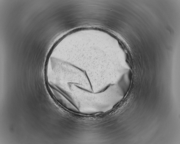 X0000113120943200909251110