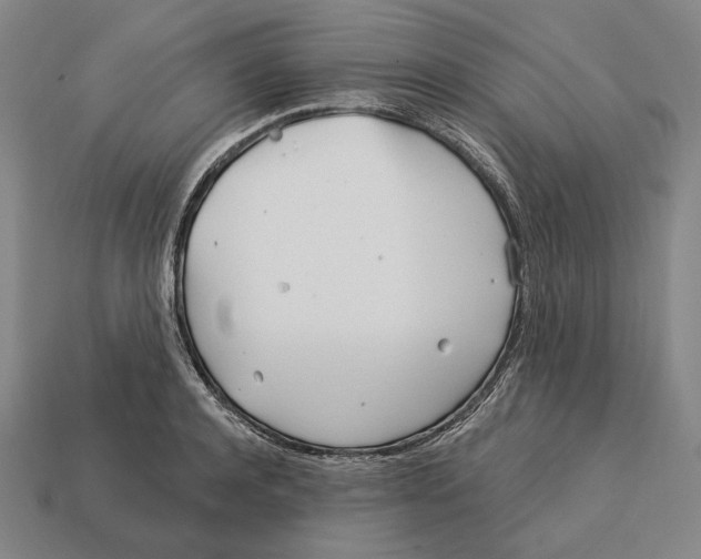 X0000113120944200909251110