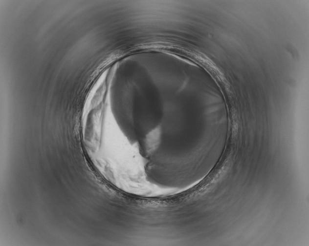 X0000113120945200909251110