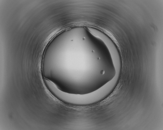X0000113120946200909251110