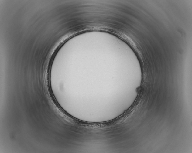 X0000113120947200909251110