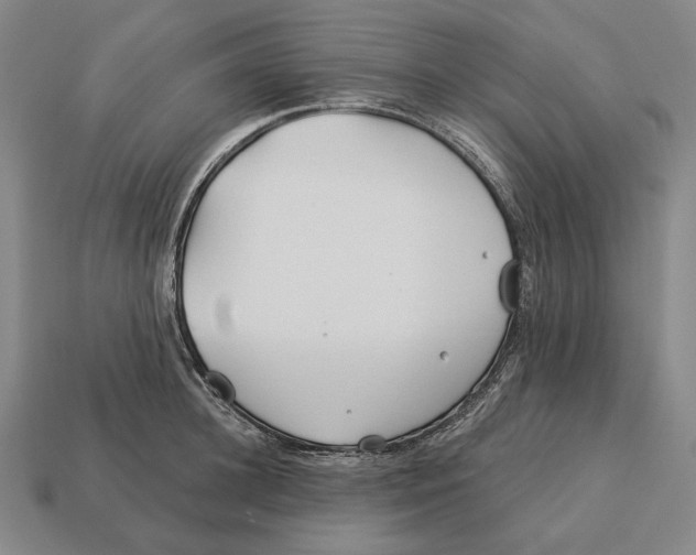 X0000113120948200909251110