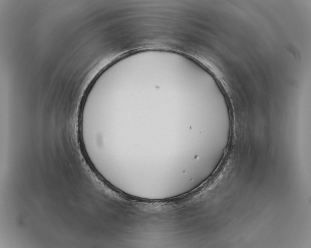 X0000113120949200909251110