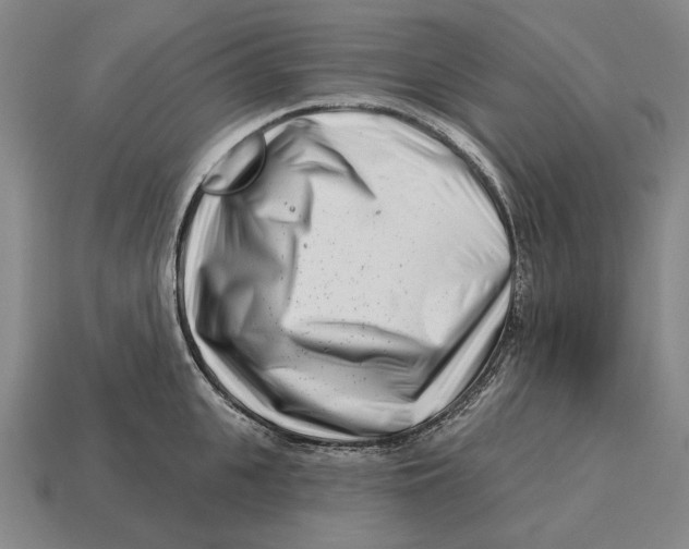 X0000113120951200909251110